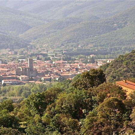 Gite Des Orgues De La Sybille Agave Canigou Ille-sur-Têt Exterior foto