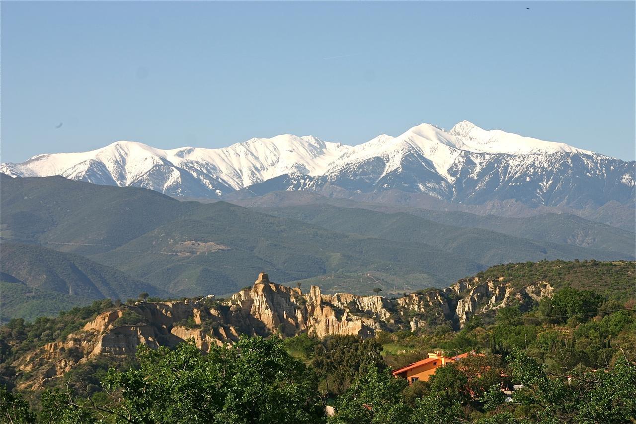 Gite Des Orgues De La Sybille Agave Canigou Ille-sur-Têt Exterior foto