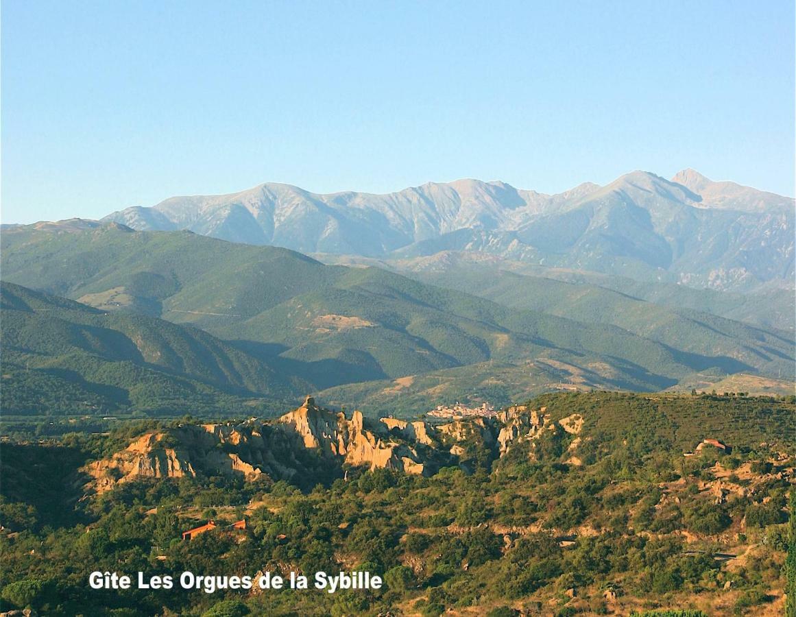 Gite Des Orgues De La Sybille Agave Canigou Ille-sur-Têt Exterior foto