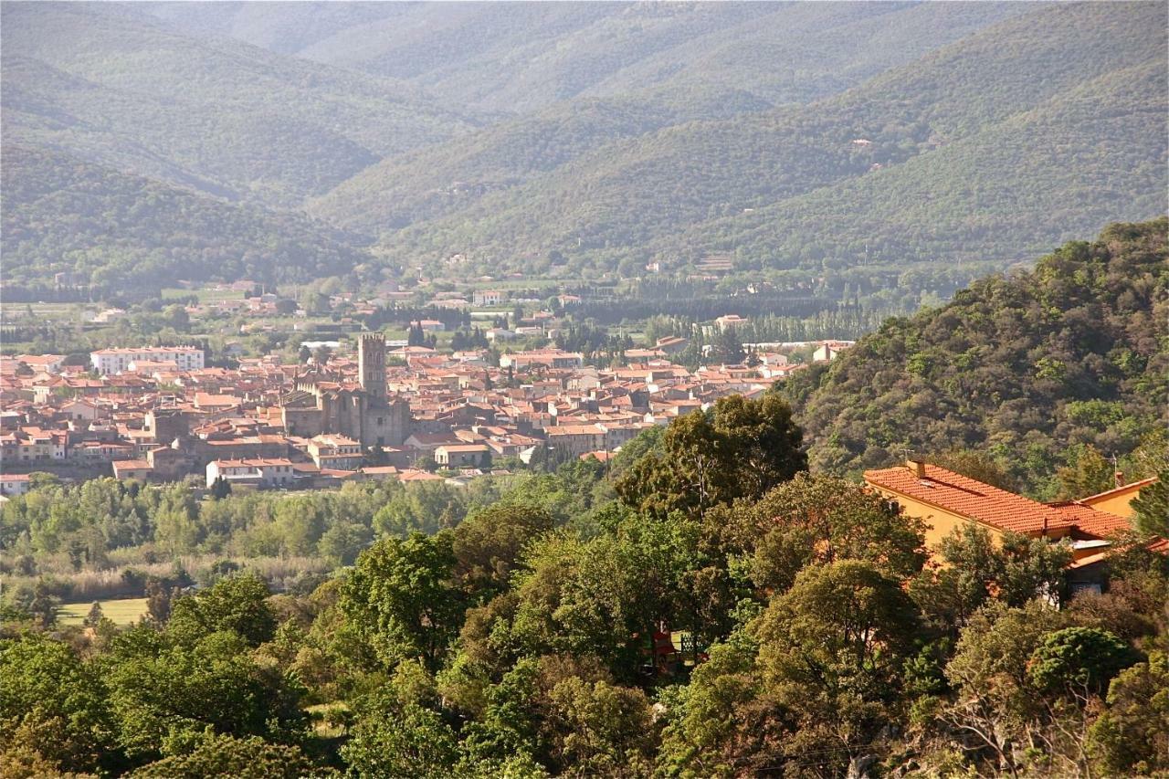 Gite Des Orgues De La Sybille Agave Canigou Ille-sur-Têt Exterior foto